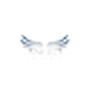 Angels Universe