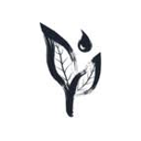 BornTea