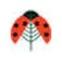 ladybirdplantcare.co.uk