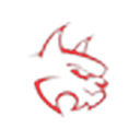 Redcat Racing