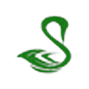 TeaSwan