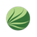 Whole Leaf Aloe